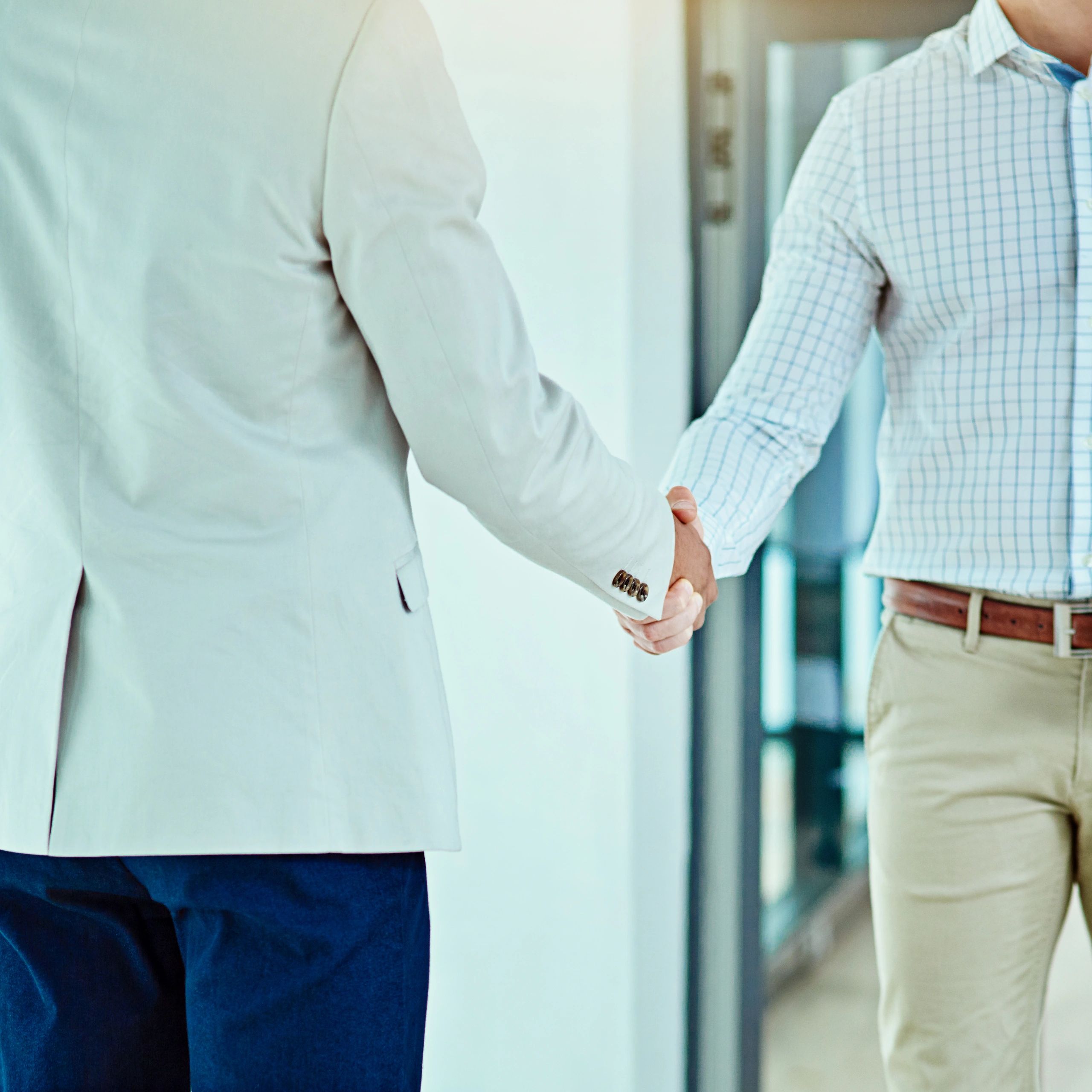 Business handshake close-up
